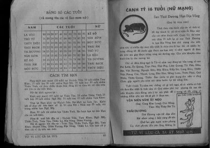 Tử Vi Lục Cà Sa - Lục Cà Sa - Hình ảnh 5
