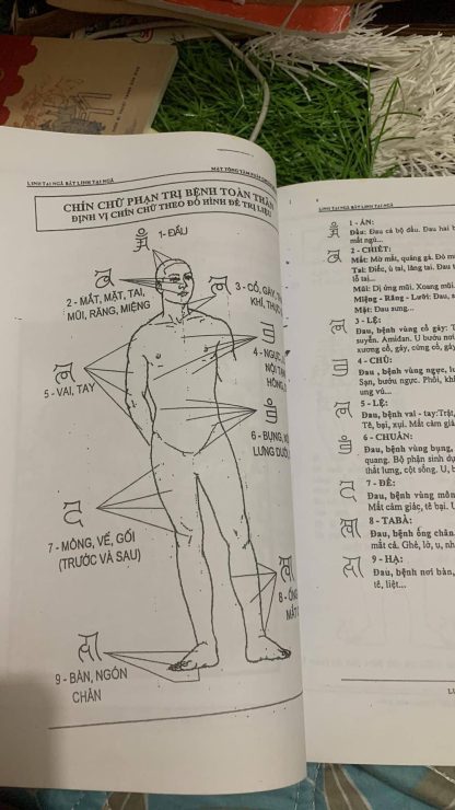 Mật Tông Tâm Pháp Chuẩn Đề Đà La Ni - ĐỨC CHUẨN ĐỀ (180 Trang) - Hình ảnh 10