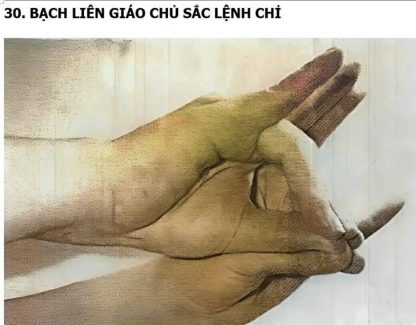Pháp Sư Chỉ Quyết (Bắt Ấn Phái Mao Sơn) - Gia Cát Lăng - Hình ảnh 4