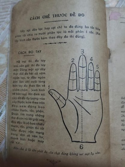 Khoa Đo Tay Tính Số Sang Hèn – Viên Tài Hà Tấn Phát - Hình ảnh 5