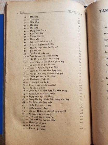 Đại Diệc Toàn Bộ - Lê Văn Nhàn - Hình ảnh 5