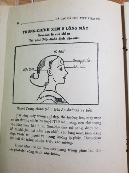 Tướng Pháp Áo Bí (Xem Tướng Tử Vi) - Hà Lạc Dã Phu Việt Viêm Tử - Hình ảnh 8