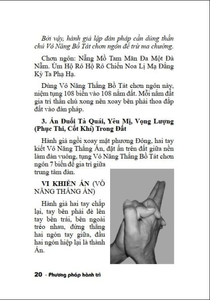 Phương Pháp Hành Trì Chuẩn Đề Đà La Ni - Thích Huyền Châu - Hình ảnh 2