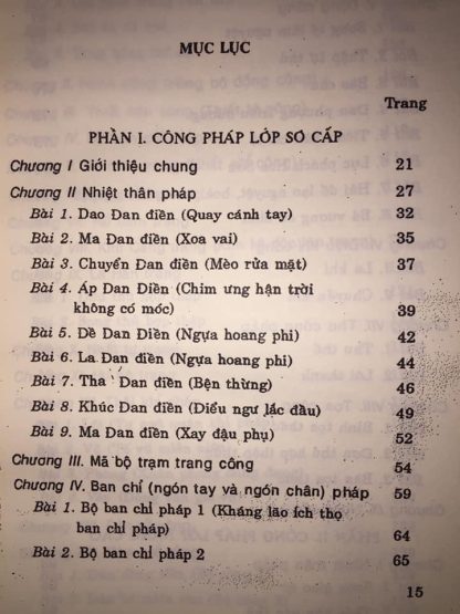 Thiếu Lâm Khí Công Nội Kình Nhất Chỉ Thiền - Vương Thụy Đình - Hình ảnh 2