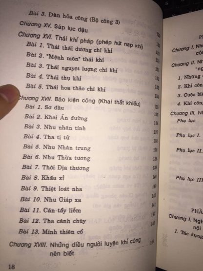 Thiếu Lâm Khí Công Nội Kình Nhất Chỉ Thiền - Vương Thụy Đình - Hình ảnh 3