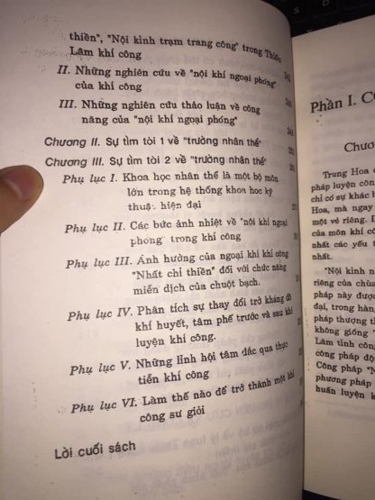 Thiếu Lâm Khí Công Nội Kình Nhất Chỉ Thiền - Vương Thụy Đình - Hình ảnh 4
