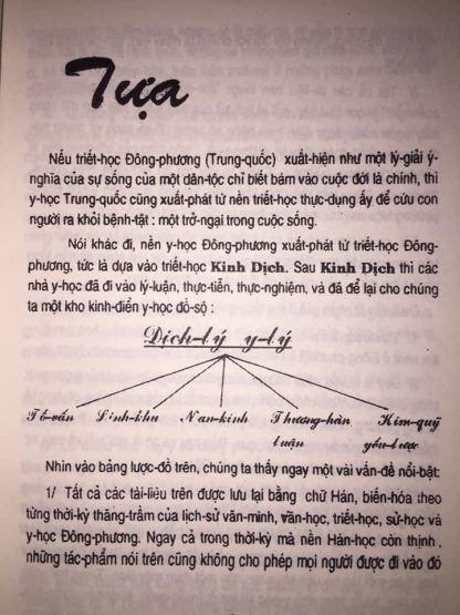 Thương Hàn Luận - Gs Huỳnh Minh Đức - Hình ảnh 2