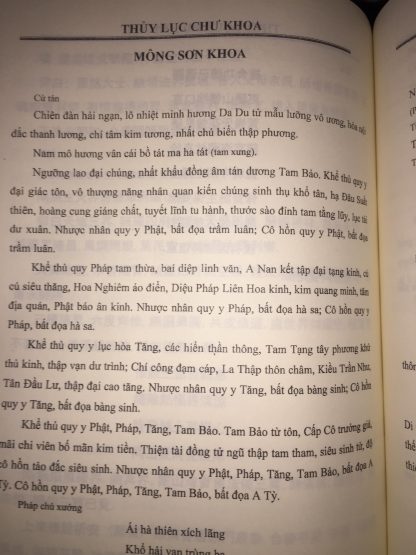 Thủy Lục Chư Khoa (Khoa Cúng Độ Âm) - Huyền Trí Pháp Sư - Ảnh 4