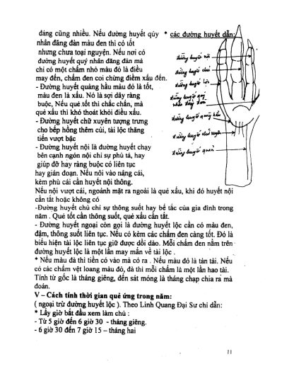 Túc Kê Linh Quái (Phương Pháp Coi Giò Gà Bí Truyền) - Thượng Thừa Tuệ Quang - Hình ảnh 5