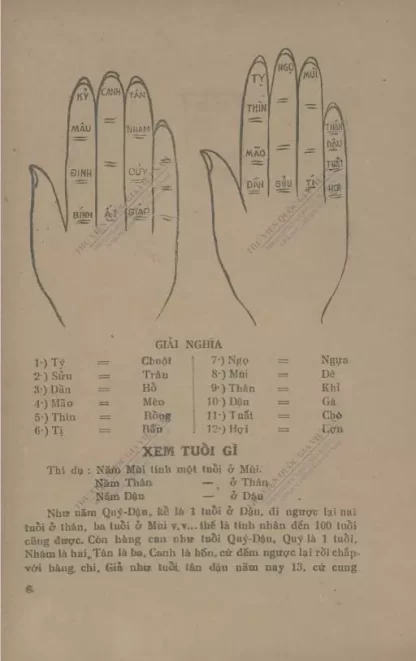 Số Tiền Định Lập Thành - Nguyễn Phúc Ấm - Hình ảnh 5