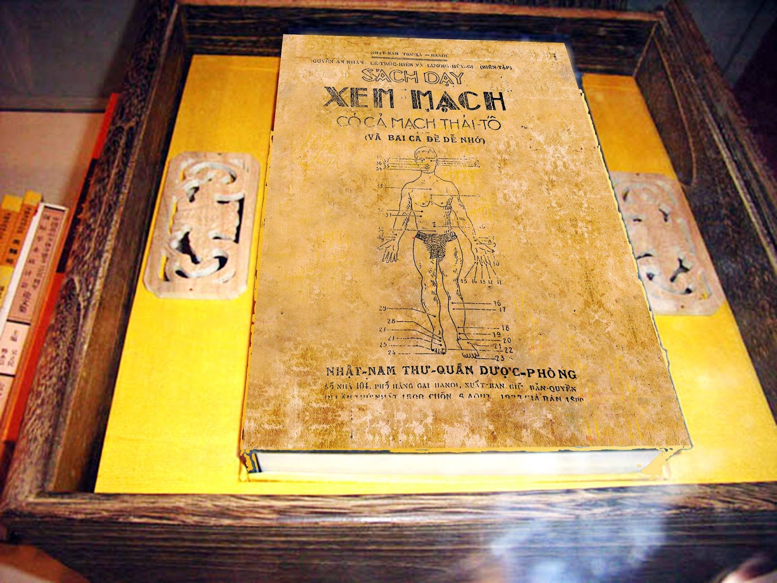 Sách Dạy Xem Mạch Có Cả Mạch Thái Tố – Nguyễn An Nhân