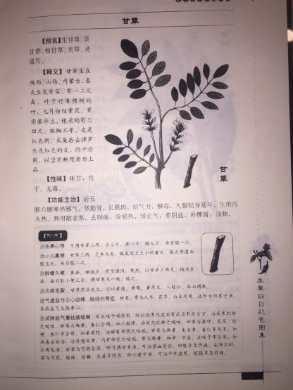 Bản Thảo Cương Mục (Tiếng Trung + Tiếng Việt) - Lý Thời Trân (Nhà Minh) - Hình ảnh 13