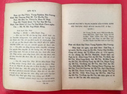 Kinh Đại Thừa Trang Nghiêm Bảo Vương - Sa Môn Thích Viên Đức - Hình ảnh 2