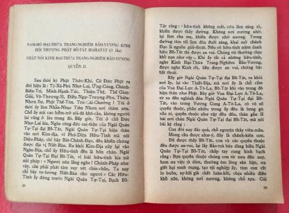 Kinh Đại Thừa Trang Nghiêm Bảo Vương - Sa Môn Thích Viên Đức - Hình ảnh 3