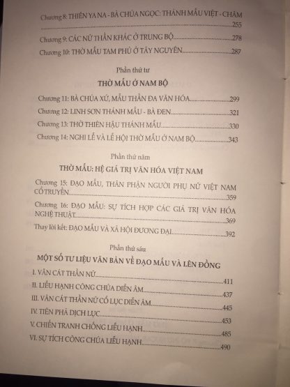 Đạo Mẫu Việt Nam - GS TS Ngô Đức Thịnh - Hình ảnh 6