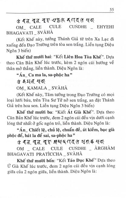 Chuẩn Đề Phật Mẫu Đà La Ni Kinh - Huyền Thanh - Hình ảnh 7