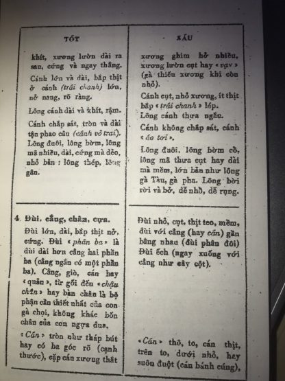 Thú Đá Gà (Kê Kinh Kê Kinh Diễn Nghĩa) - Huỳnh Ngọc Trảng - Hình ảnh 4