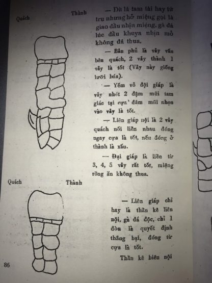 Thú Đá Gà (Kê Kinh Kê Kinh Diễn Nghĩa) - Huỳnh Ngọc Trảng - Hình ảnh 7