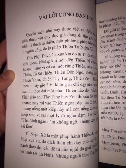 Combo Thiền Bốn Niệm Xứ Và Thiền Tứ Niệm Xứ Minh Sát Tuệ -Thích Trí Siêu & Hòa Thượng Giới Nghiêm - Hình ảnh 3