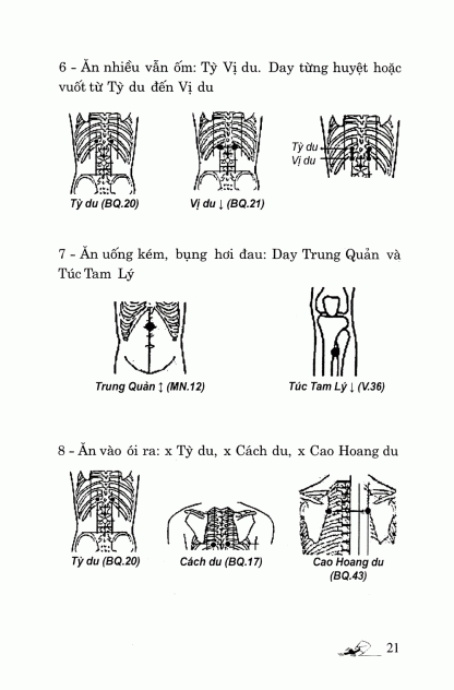 Khí Công Y Đạo Ấn Huyết Chữa Bệnh Bệnh Tiêu Hóa Trường Vị - Đỗ Đức Ngọc - Hình ảnh 5