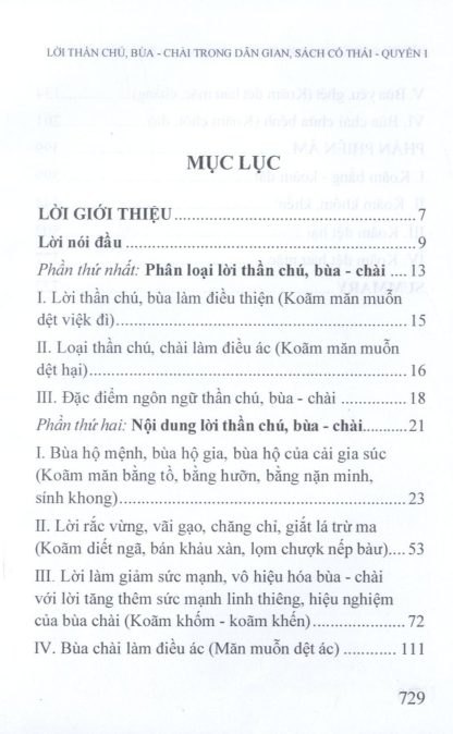 Lời Thần Chú Bùa Chài Trong Dân Gian Sách Cổ Thái - Hoàng Trần Nghịch - Hình ảnh 8