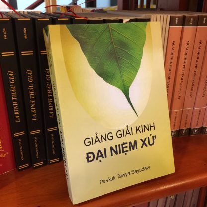Giảng Giải Kinh Đại Niệm Xứ - Pa-Auk Tawya Sayadaw (TK Pháp Thông dịch)