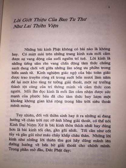 Đại Niệm Xứ - Thiền sư U Silananda (Tỳ kheo Khánh Hỷ dịch Việt) - Hình ảnh 3