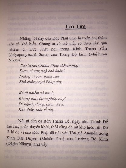 Giảng Giải Kinh Đại Niệm Xứ - Pa-Auk Tawya Sayadaw (TK Pháp Thông dịch) - Hình ảnh 2
