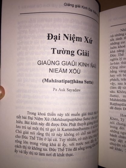 Giảng Giải Kinh Đại Niệm Xứ - Pa-Auk Tawya Sayadaw (TK Pháp Thông dịch) - Hình ảnh 3