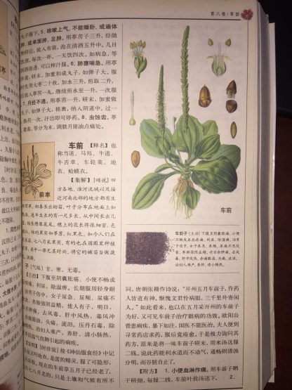 Bản Thảo Cương Mục Tiếng Trung - Lý Thời Trân (Nhà Minh) - Hình ảnh 2