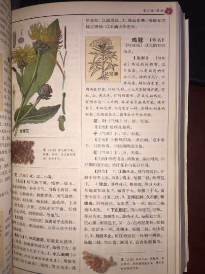 Bản Thảo Cương Mục Tiếng Trung - Lý Thời Trân (Nhà Minh) - Hình ảnh 4