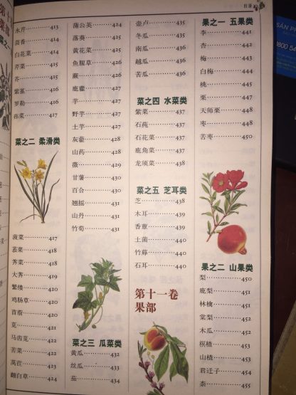 Bản Thảo Cương Mục Tiếng Trung - Lý Thời Trân (Nhà Minh) - Hình ảnh 3