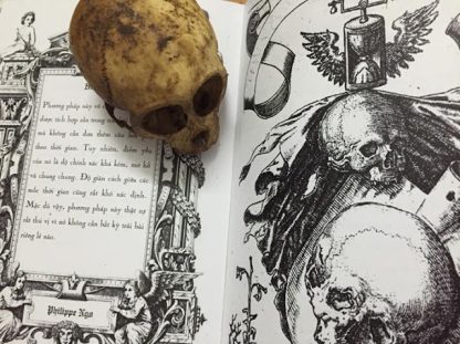 Dự Đoán Thời Gian Trong Tarot - PHILIPPE NGO - Hình ảnh 3