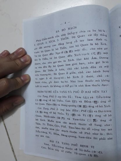 Mạch Pháp Quy Tông - Trần Đức Tâm - Hình ảnh 2