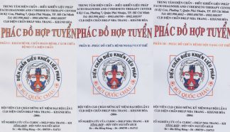 Phác đồ hợp tuyển diện chẩn điều khiển liệu pháp - Bùi Quốc Châu (3 Tập)