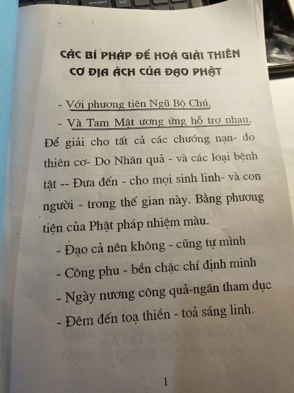 Các Bí Pháp Để Hóa Giải Thiên Cơ Địa Ách Của Đạo Phật - Thầy Nguyễn Văn Rạng - Ảnh 2