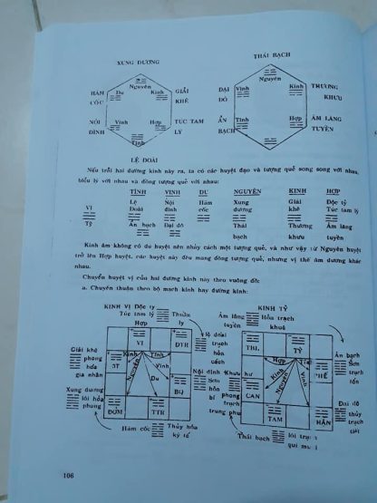 Y dịch lục khí châm cứu mạch lý dược lý - Lương y Phan Văn Sỹ - Hình ảnh 2