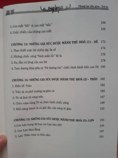 Phong tục dân gian Trừ tà - Triều Sơn - Ảnh 5