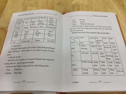 Châm Cứu Chữa Bệnh Mãng Châm Tân Châm (Bộ 4 Quyển) - Gs Nguyễn Tài Thu - Hình ảnh 2