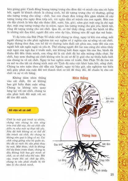 Tây Tạng Sinh Tử Kỳ Thư - Liên Hoa Sinh, Tề Hân - Hình ảnh 2