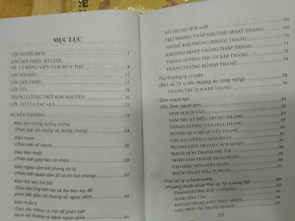 Nội Ngoại Thương Biện Hoặc Luận - Lý Đông Viên (Kim Nguyên Tứ Đại Danh Y) - Hình ảnh 3