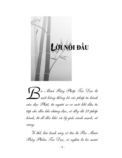 37 Phẩm Trợ Đạo (Ba Mươi Bảy Pháp Trợ Đạo) - Thích Thông Lạc - Hình ảnh 2