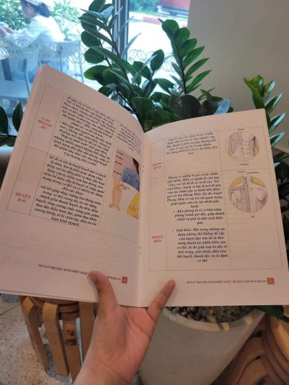 Sổ Tay Trị Liệu Bằng Điếu Ngải - Bác Sỹ Tuệ Tâm - Hình ảnh 4