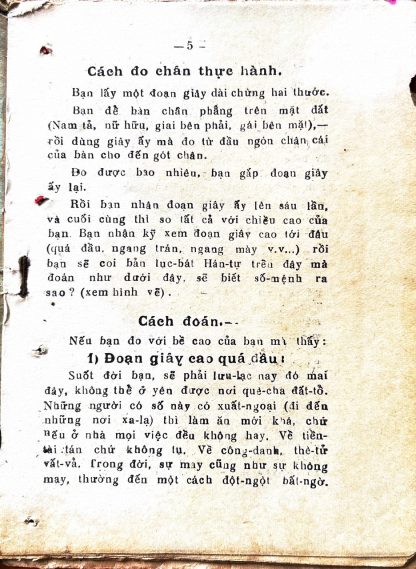 Đo Chân Tay Đoán Số Mệnh - Trần Lang - Hình ảnh 5