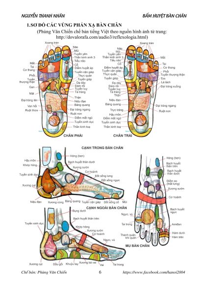 Bấm Huyệt Bàn Chân - Nguyễn Thanh Nhân - Hình ảnh 4
