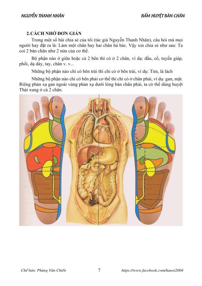 Bấm Huyệt Bàn Chân - Nguyễn Thanh Nhân - Hình ảnh 5