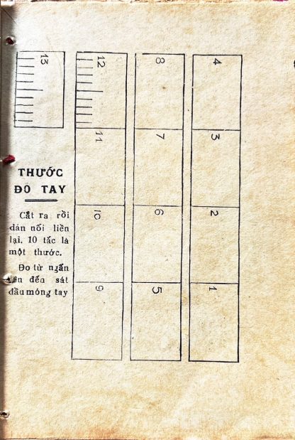 Đo Chân Tay Đoán Số Mệnh - Trần Lang - Hình ảnh 3