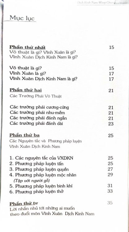 Vĩnh Xuân Dịch Kinh Nam - Trịnh Quốc Định - Ảnh 2