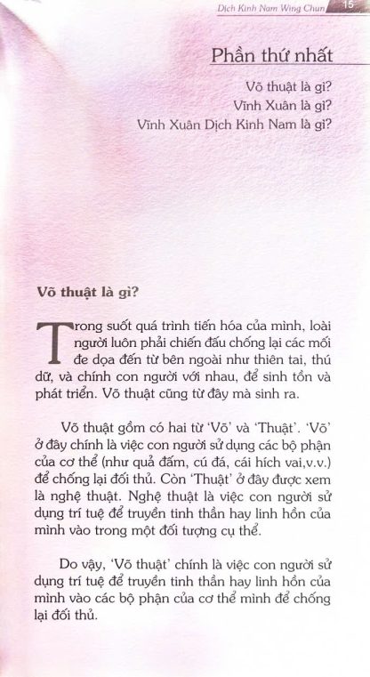 Vĩnh Xuân Dịch Kinh Nam - Trịnh Quốc Định - Ảnh 5