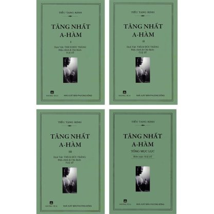 Kinh A Hàm Trọn Bộ - Tuệ Sỹ Dịch Và Chú (Bộ 15 Quyển) - Ảnh 5
